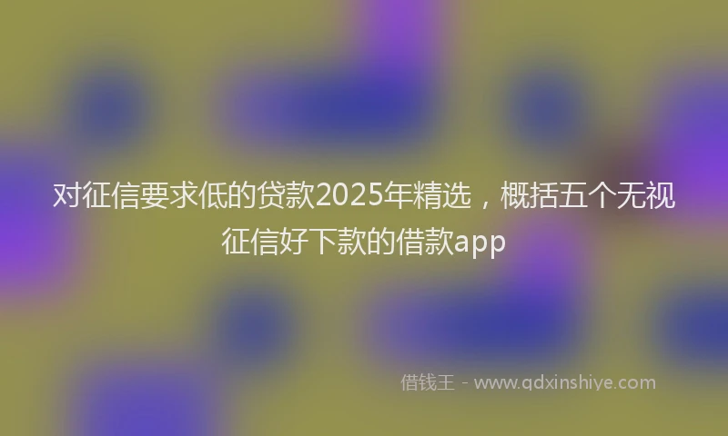 对征信要求低的贷款2025年精选，概括五个无视征信好下款的借款app
