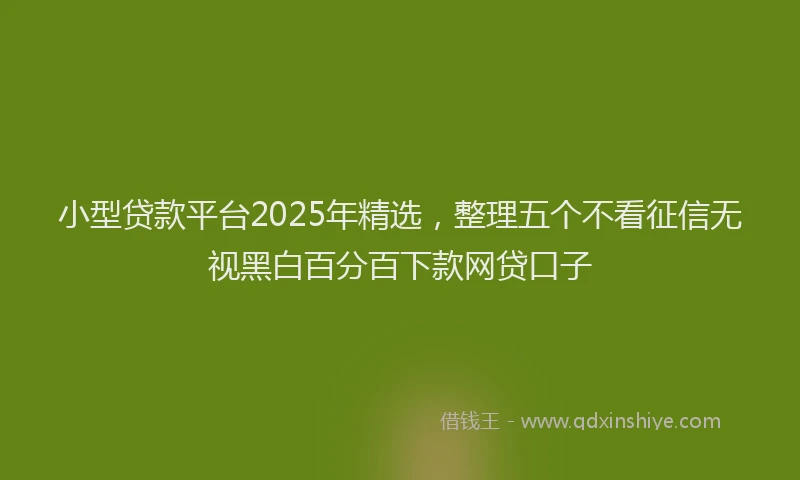 小型贷款平台2025年精选，整理五个不看征信无视黑白百分百下款网贷口子