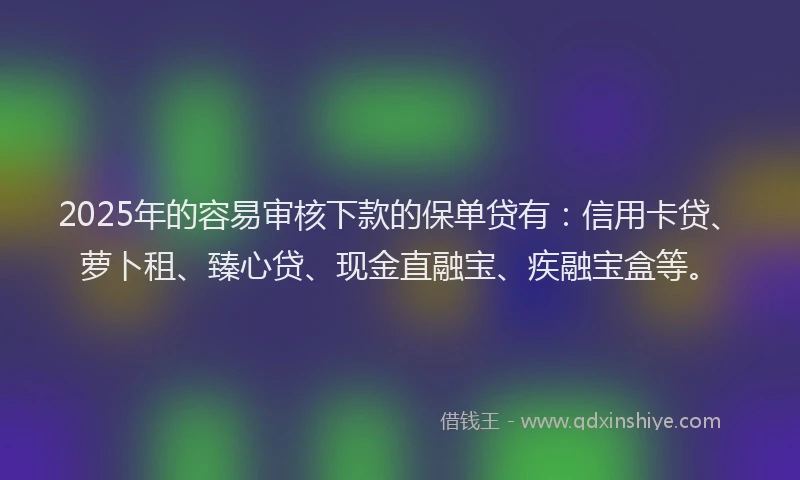 2025年的容易审核下款的保单贷有：信用卡贷、萝卜租、臻心贷、现金直融宝、疾融宝盒等。