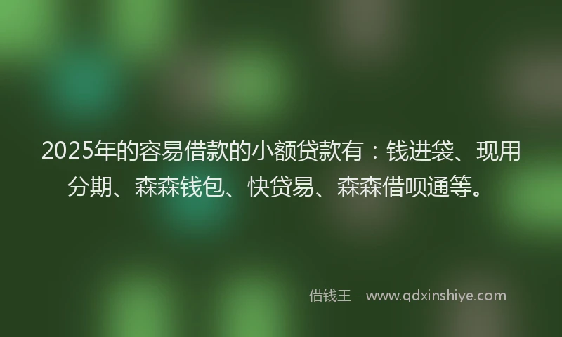2025年的容易借款的小额贷款有：钱进袋、现用分期、森森钱包、快贷易、森森借呗通等。