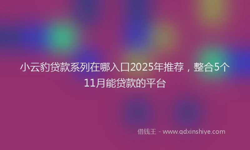 小云豹贷款系列在哪入口2025年推荐，整合5个11月能贷款的平台