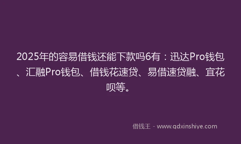 2025年的容易借钱还能下款吗6有：迅达Pro钱包、汇融Pro钱包、借钱花速贷、易借速贷融、宜花呗等。