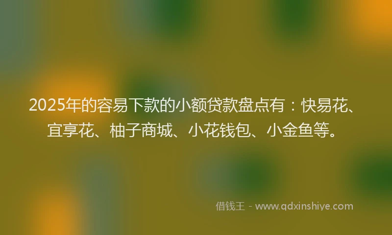2025年的容易下款的小额贷款盘点有：快易花、宜享花、柚子商城、小花钱包、小金鱼等。