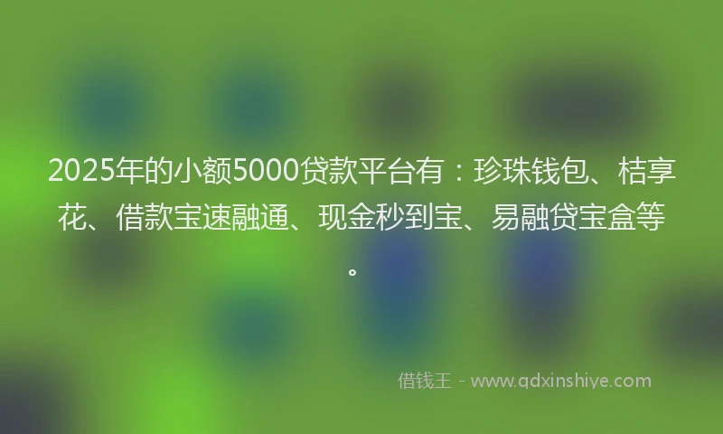 2025年的小额5000贷款平台有：珍珠钱包、桔享花、借款宝速融通、现金秒到宝、易融贷宝盒等。