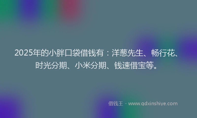 2025年的小胖口袋借钱有：洋葱先生、畅行花、时光分期、小米分期、钱速借宝等。