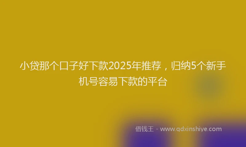 小贷那个口子好下款2025年推荐，归纳5个新手机号容易下款的平台