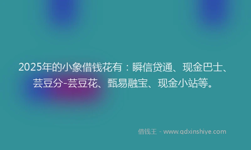 2025年的小象借钱花有：瞬信贷通、现金巴士、芸豆分-芸豆花、甄易融宝、现金小站等。