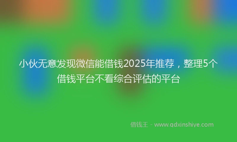 小伙无意发现微信能借钱2025年推荐，整理5个借钱平台不看综合评估的平台