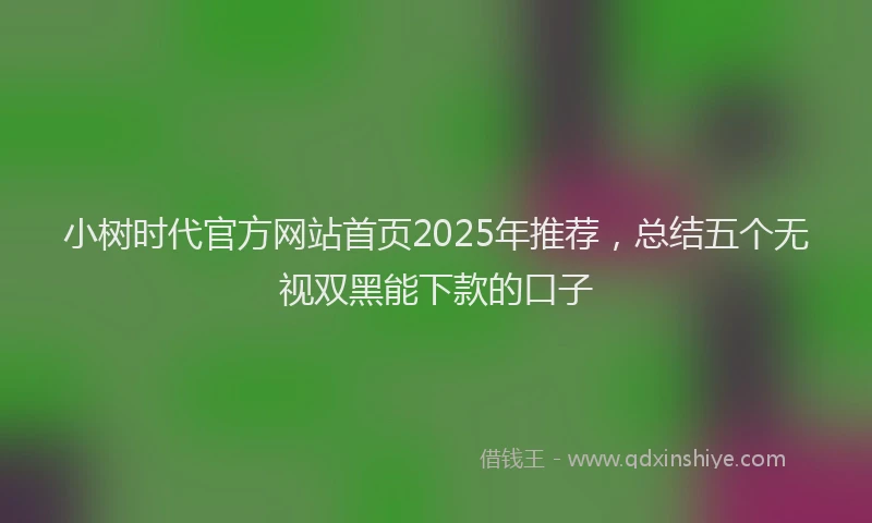 小树时代官方网站首页2025年推荐，总结五个无视双黑能下款的口子