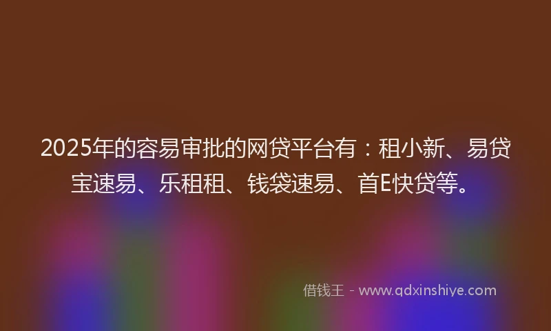 2025年的容易审批的网贷平台有：租小新、易贷宝速易、乐租租、钱袋速易、首E快贷等。