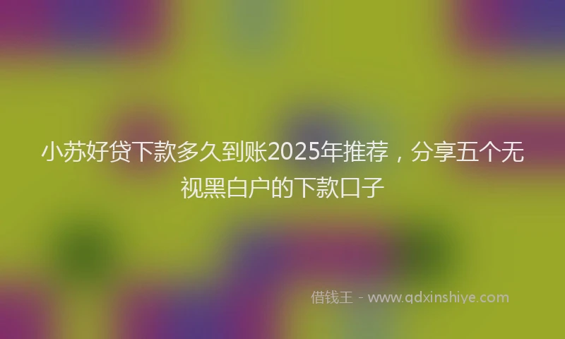 小苏好贷下款多久到账2025年推荐，分享五个无视黑白户的下款口子