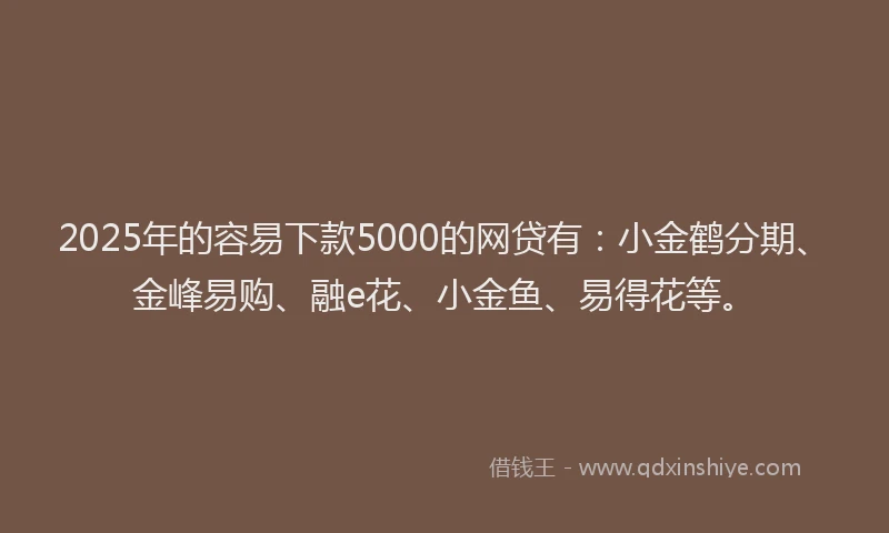 2025年的容易下款5000的网贷有：小金鹤分期、金峰易购、融e花、小金鱼、易得花等。