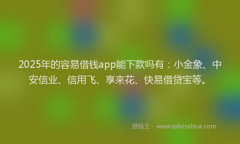 2025年的容易借钱app能下款吗有：小金象、中安信业、信用飞、享来花、快易借贷宝等。