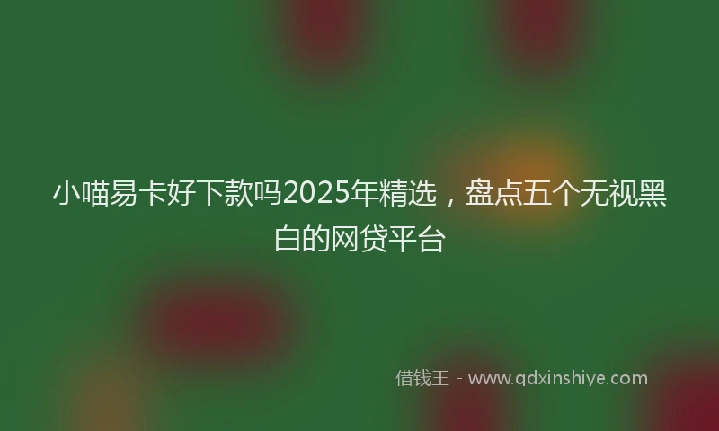 小喵易卡好下款吗2025年精选，盘点五个无视黑白的网贷平台
