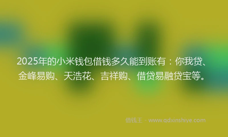 2025年的小米钱包借钱多久能到账有：你我贷、金峰易购、天浩花、吉祥购、借贷易融贷宝等。