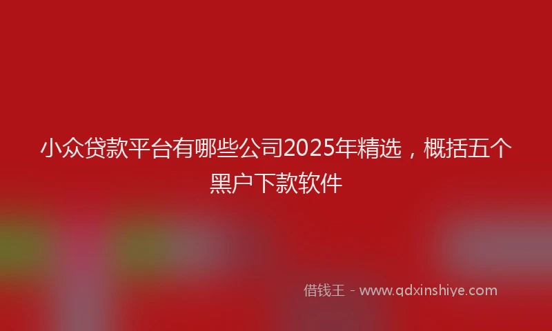 小众贷款平台有哪些公司2025年精选，概括五个黑户下款软件