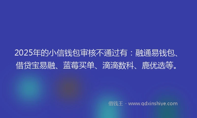 2025年的小信钱包审核不通过有：融通易钱包、借贷宝易融、蓝莓买单、滴滴数科、鹿优选等。