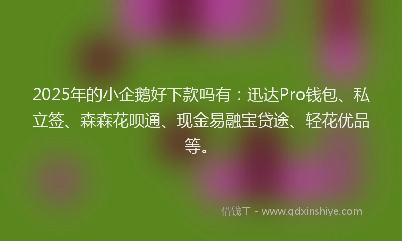 2025年的小企鹅好下款吗有：迅达Pro钱包、私立签、森森花呗通、现金易融宝贷途、轻花优品等。