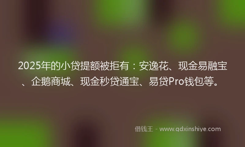2025年的小贷提额被拒有：安逸花、现金易融宝、企鹅商城、现金秒贷通宝、易贷Pro钱包等。