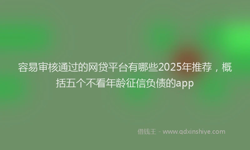 容易审核通过的网贷平台有哪些2025年推荐，概括五个不看年龄征信负债的app