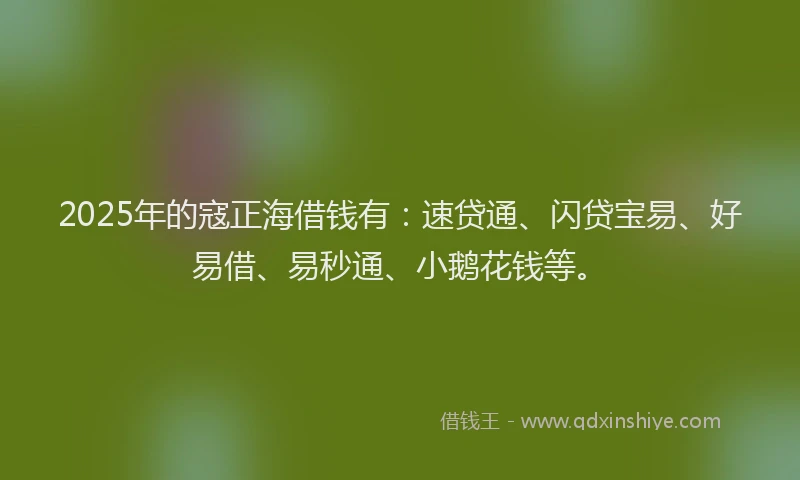2025年的寇正海借钱有：速贷通、闪贷宝易、好易借、易秒通、小鹅花钱等。