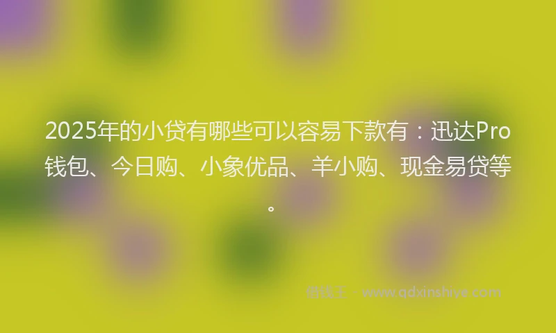 2025年的小贷有哪些可以容易下款有：迅达Pro钱包、今日购、小象优品、羊小购、现金易贷等。