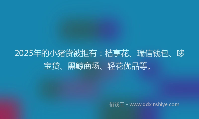 2025年的小猪贷被拒有：桔享花、瑞信钱包、哆宝贷、黑鲸商场、轻花优品等。
