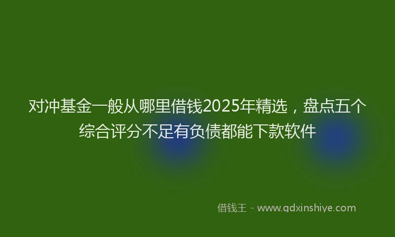 对冲基金一般从哪里借钱2025年精选，盘点五个综合评分不足有负债都能下款软件