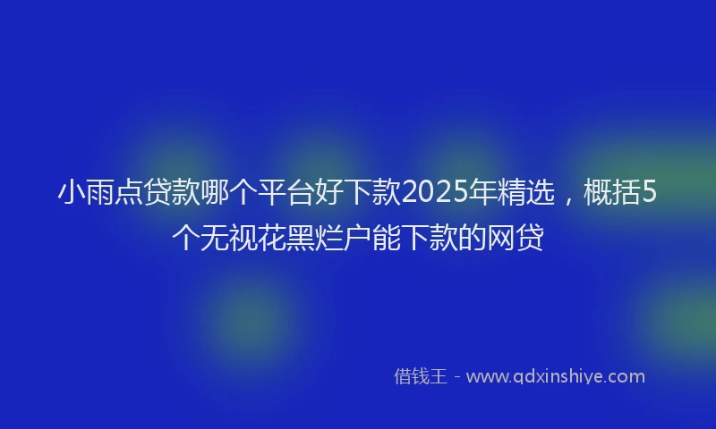 小雨点贷款哪个平台好下款2025年精选，概括5个无视花黑烂户能下款的网贷