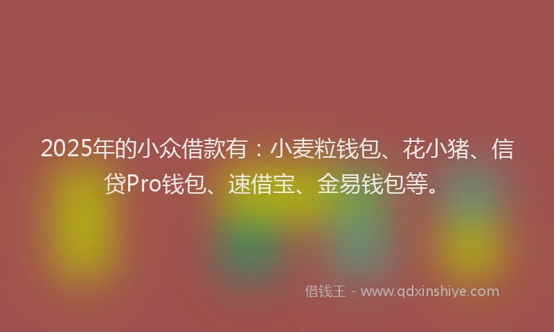 2025年的小众借款有：小麦粒钱包、花小猪、信贷Pro钱包、速借宝、金易钱包等。