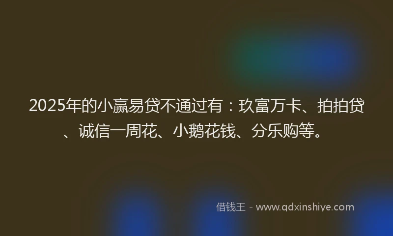 2025年的小赢易贷不通过有：玖富万卡、拍拍贷、诚信一周花、小鹅花钱、分乐购等。