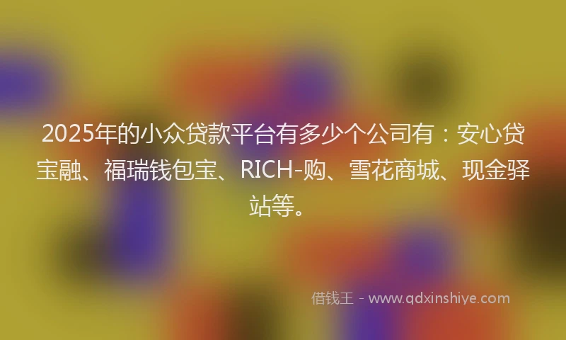 2025年的小众贷款平台有多少个公司有：安心贷宝融、福瑞钱包宝、RICH-购、雪花商城、现金驿站等。