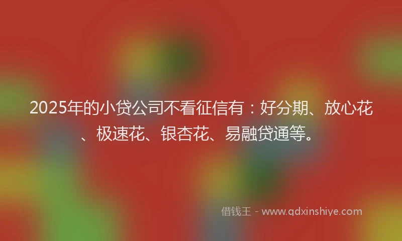 2025年的小贷公司不看征信有：好分期、放心花、极速花、银杏花、易融贷通等。