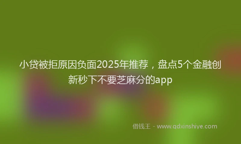 小贷被拒原因负面2025年推荐，盘点5个金融创新秒下不要芝麻分的app