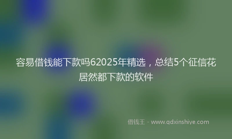 容易借钱能下款吗62025年精选，总结5个征信花居然都下款的软件