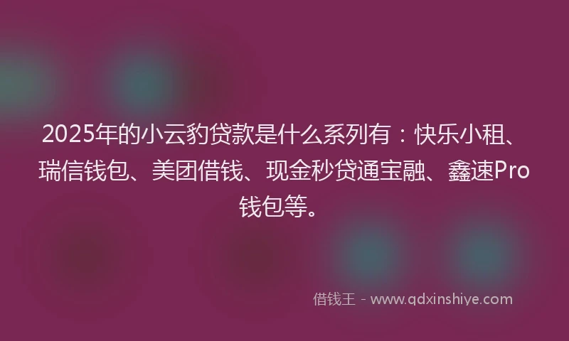 2025年的小云豹贷款是什么系列有：快乐小租、瑞信钱包、美团借钱、现金秒贷通宝融、鑫速Pro钱包等。