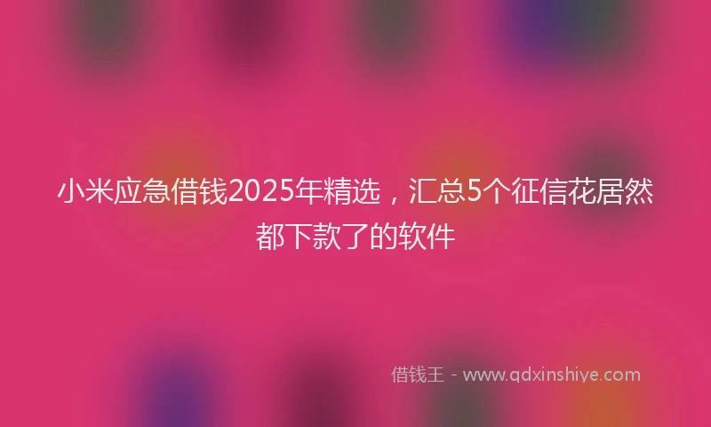 小米应急借钱2025年精选，汇总5个征信花居然都下款了的软件