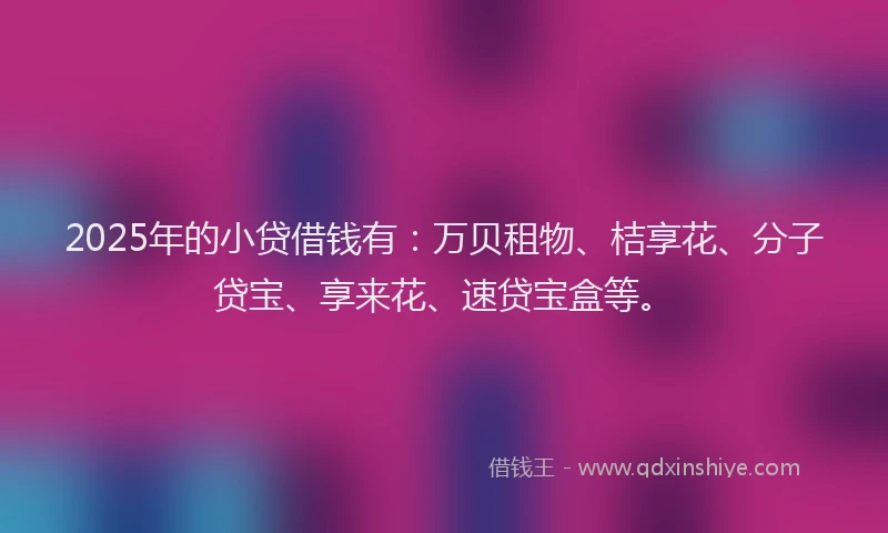 2025年的小贷借钱有：万贝租物、桔享花、分子贷宝、享来花、速贷宝盒等。