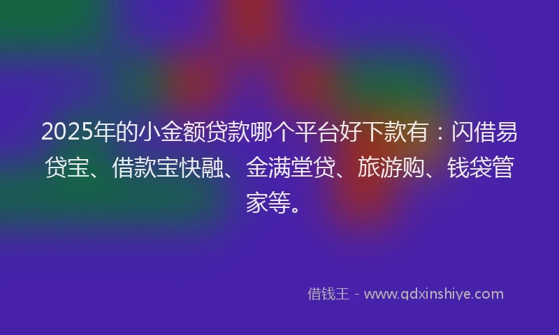 2025年的小金额贷款哪个平台好下款有：闪借易贷宝、借款宝快融、金满堂贷、旅游购、钱袋管家等。