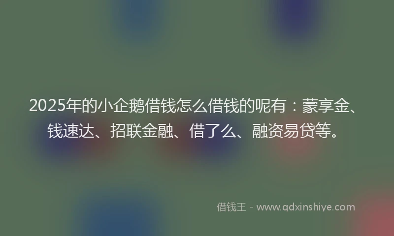 2025年的小企鹅借钱怎么借钱的呢有：蒙享金、钱速达、招联金融、借了么、融资易贷等。