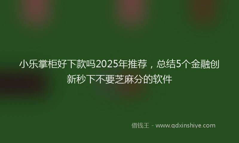 小乐掌柜好下款吗2025年推荐，总结5个金融创新秒下不要芝麻分的软件