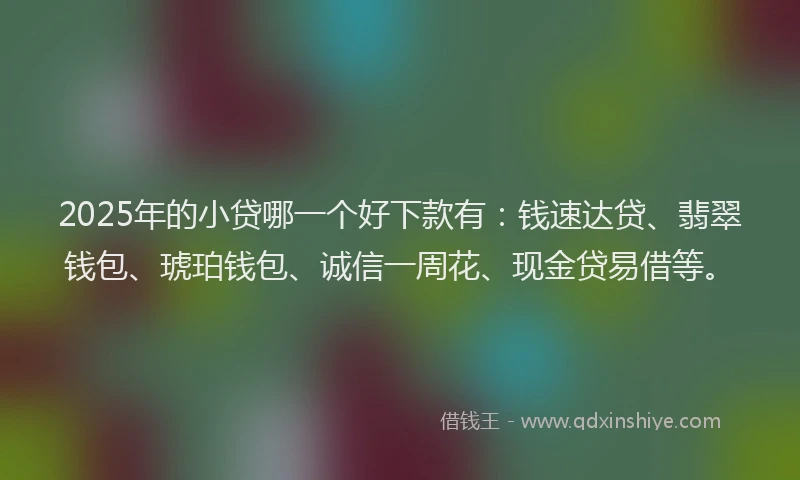 2025年的小贷哪一个好下款有：钱速达贷、翡翠钱包、琥珀钱包、诚信一周花、现金贷易借等。