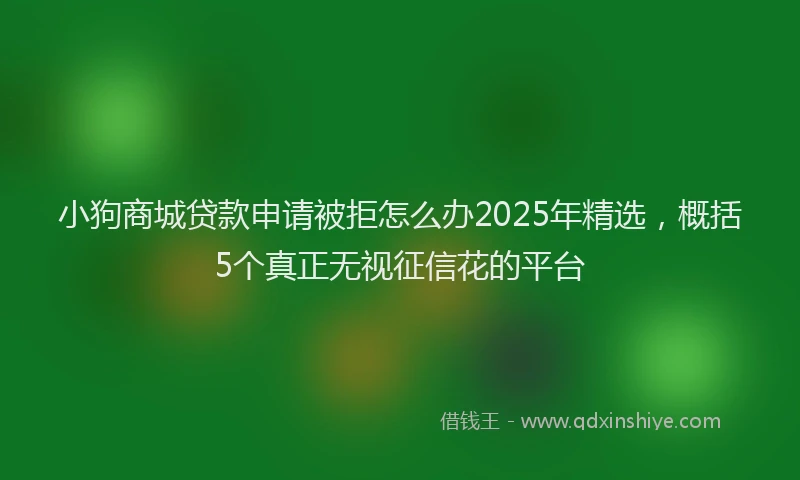 小狗商城贷款申请被拒怎么办2025年精选，概括5个真正无视征信花的平台