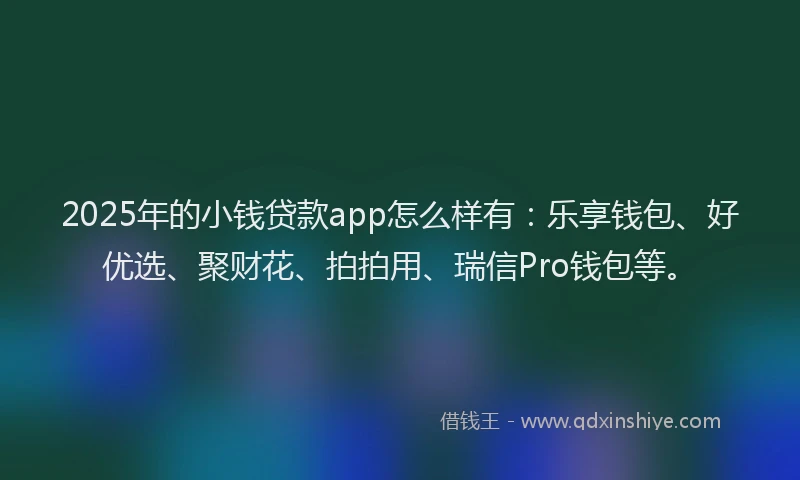 2025年的小钱贷款app怎么样有：乐享钱包、好优选、聚财花、拍拍用、瑞信Pro钱包等。