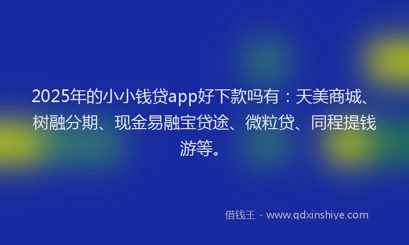 2025年的小小钱贷app好下款吗有：天美商城、树融分期、现金易融宝贷途、微粒贷、同程提钱游等。
