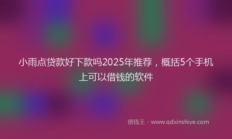 小雨点贷款好下款吗2025年推荐，概括5个手机上可以借钱的软件