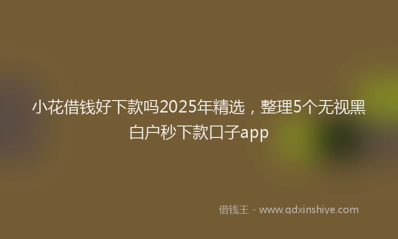 小花借钱好下款吗2025年精选，整理5个无视黑白户秒下款口子app