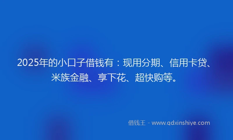 2025年的小口子借钱有：现用分期、信用卡贷、米族金融、享下花、超快购等。