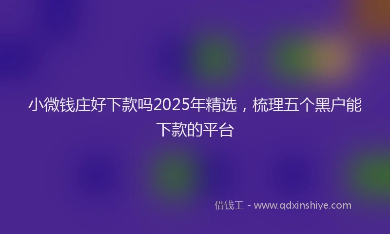 小微钱庄好下款吗2025年精选，梳理五个黑户能下款的平台