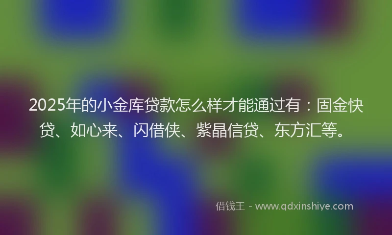2025年的小金库贷款怎么样才能通过有：固金快贷、如心来、闪借侠、紫晶信贷、东方汇等。